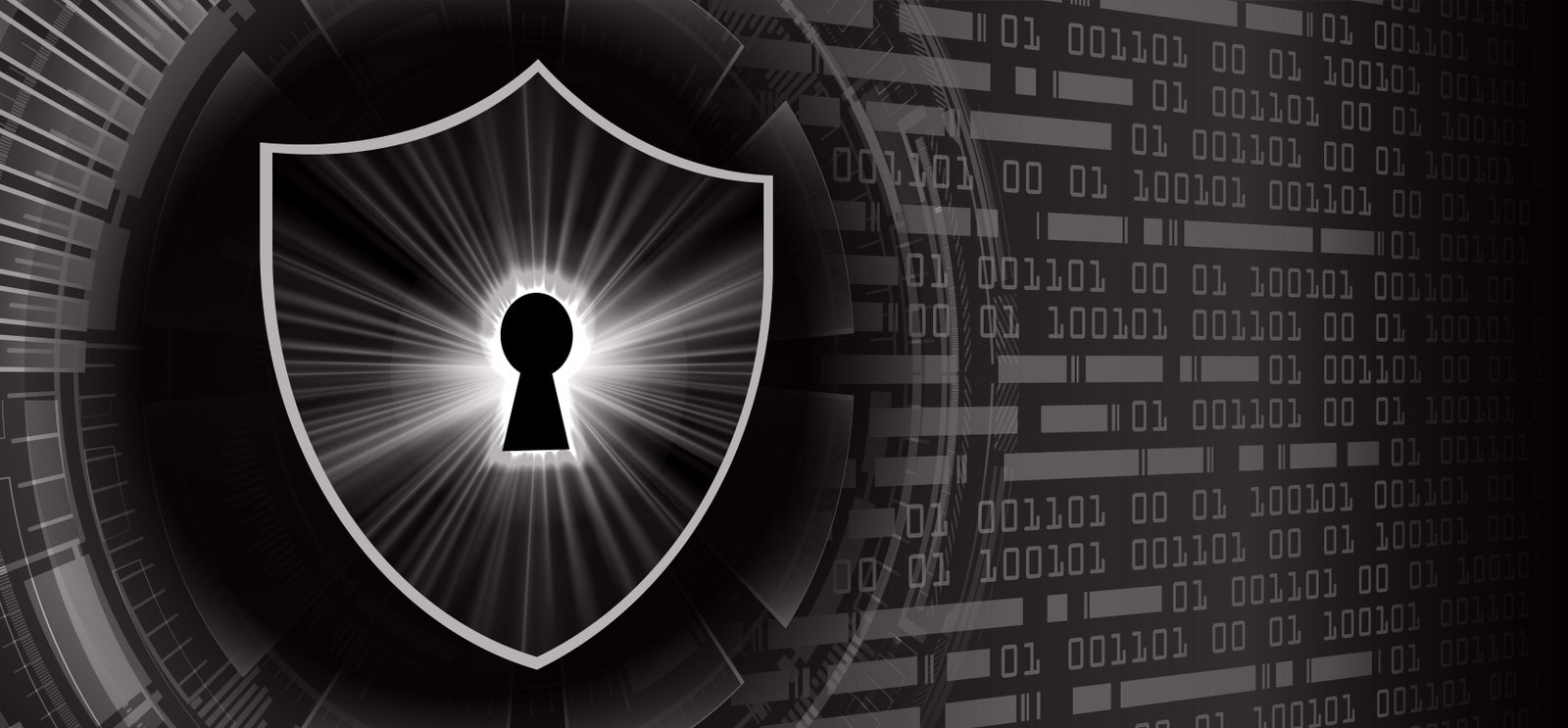 Certified AI & Data Protection Officer (CAIDPO)